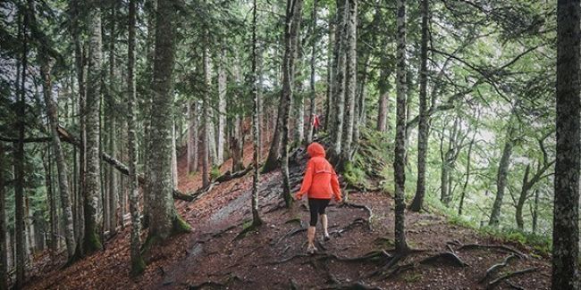 Hiking u prašumi Perućici